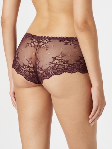 LingaDore Boyshorts 'Daily Lace' in Purple