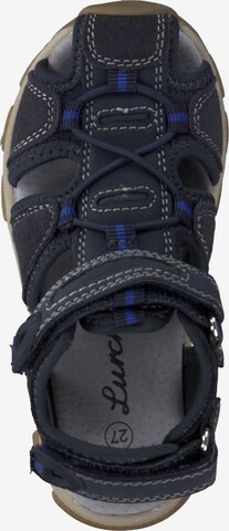 SALAMANDER Sandals 'Boris 21615' in Blue