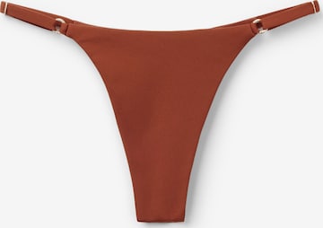 CALZEDONIA Bikini Bottoms 'Premium Fit' in Brown: front