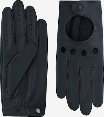 Gants 'ROM AUTOFAHRER' Roeckl en bleu : devant