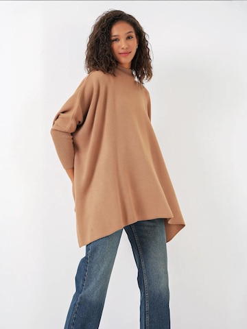 Bigdart Trui in Bruin