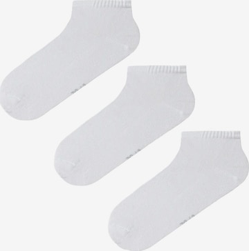 Chaussettes 'PENTI Herren Super 3-in-1 Liner' Penti en blanc : devant