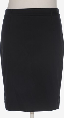 Loro Piana Skirt in L in Blue: front