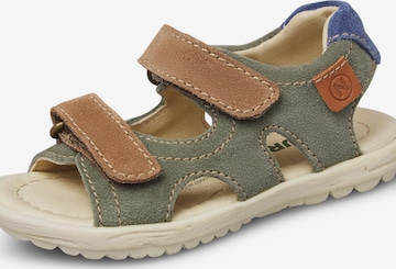NATURINO Open schoenen 'SKY' in Groen: voorkant