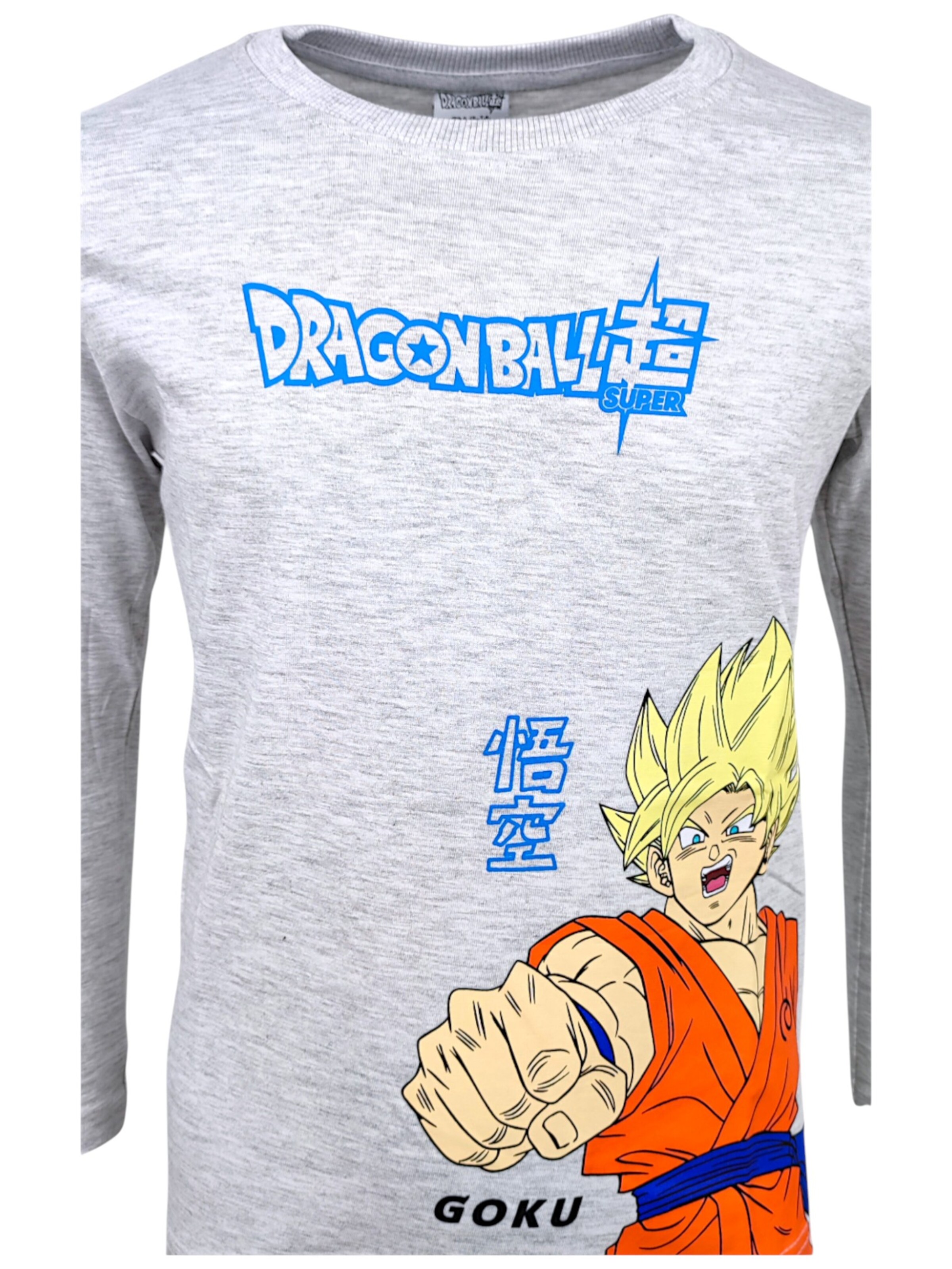 Dragon Ball Shirt 'Son Goku' in Grey