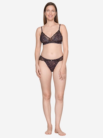 JOOP! Broekje ' Intimate Apparel ' in Bruin