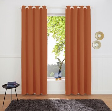 MY HOME Curtains & Drapes in Bronze