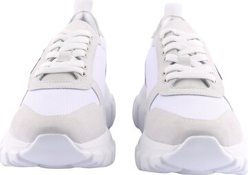 D.MoRo Shoes Sneaker 'Dolginom' in Weiß