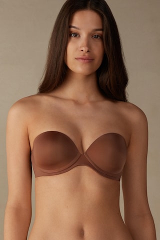 INTIMISSIMI Bandeau Bra in Brown: front