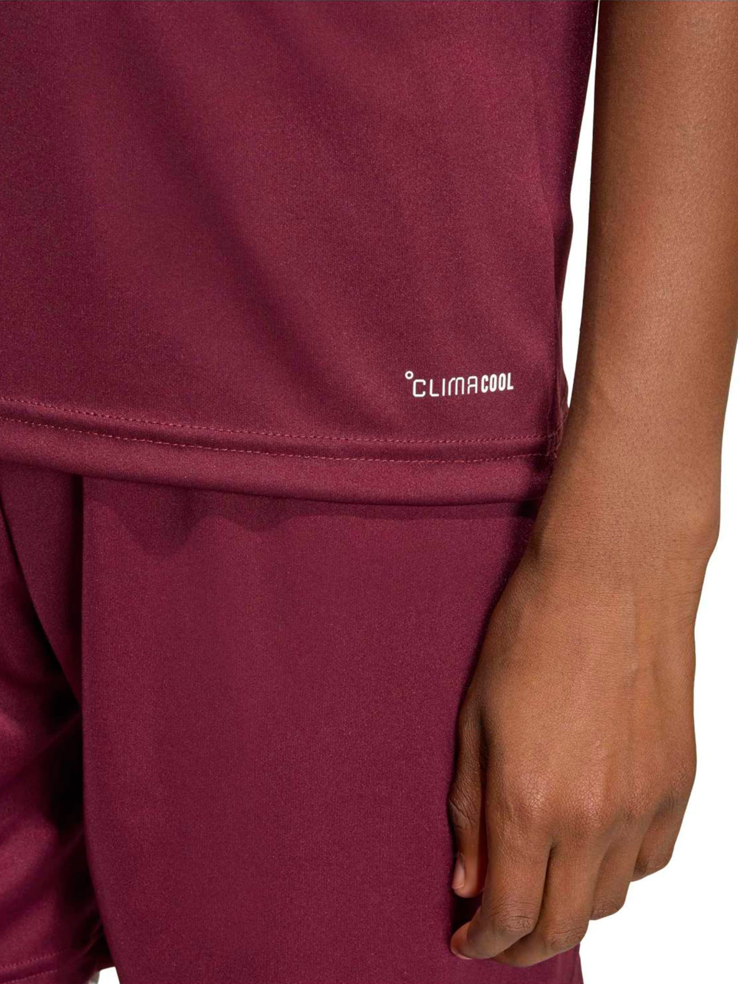 ADIDAS PERFORMANCE Функциональная футболка 'ENT26' в Красный