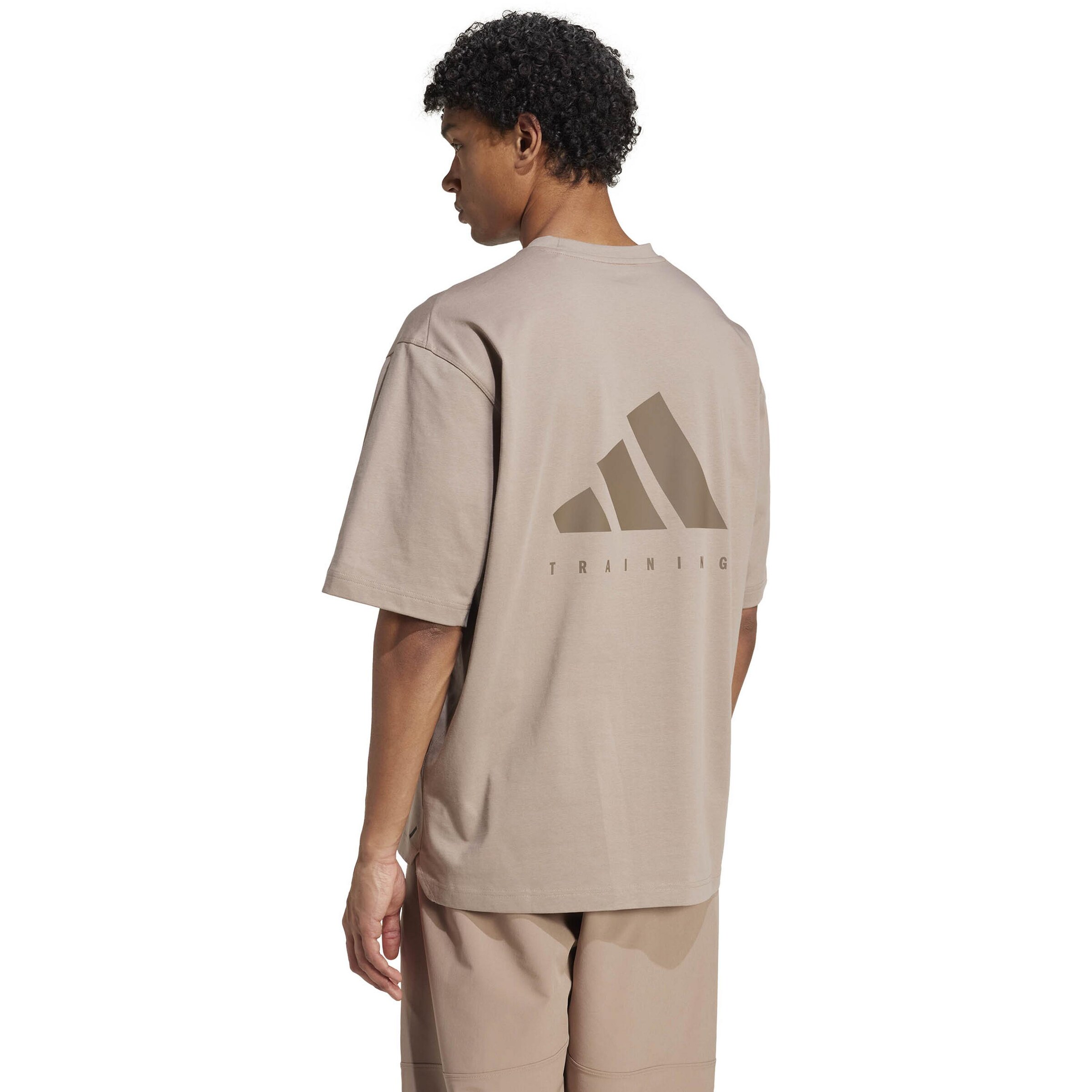 ADIDAS PERFORMANCE Performance Shirt in Grey