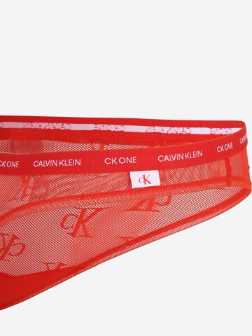 Calvin Klein Underwear Plus Slip in Red