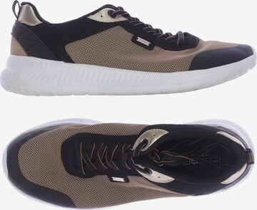 ESPRIT Sneaker 40 in Braun: predná strana