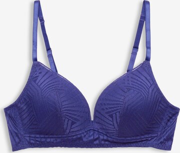 Triangle Soutien-gorge ESPRIT en bleu : devant