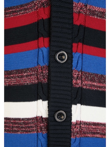 HECHTER PARIS Knit cardigan in Mixed colours