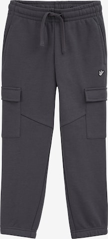 WE Fashion Regular Trousers in Grey: front
