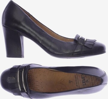 CAPRICE Pumps 40,5 in Schwarz: predná strana