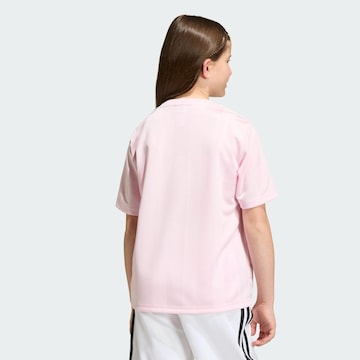 ADIDAS ORIGINALS Shirt 'Adicolor' in Roze