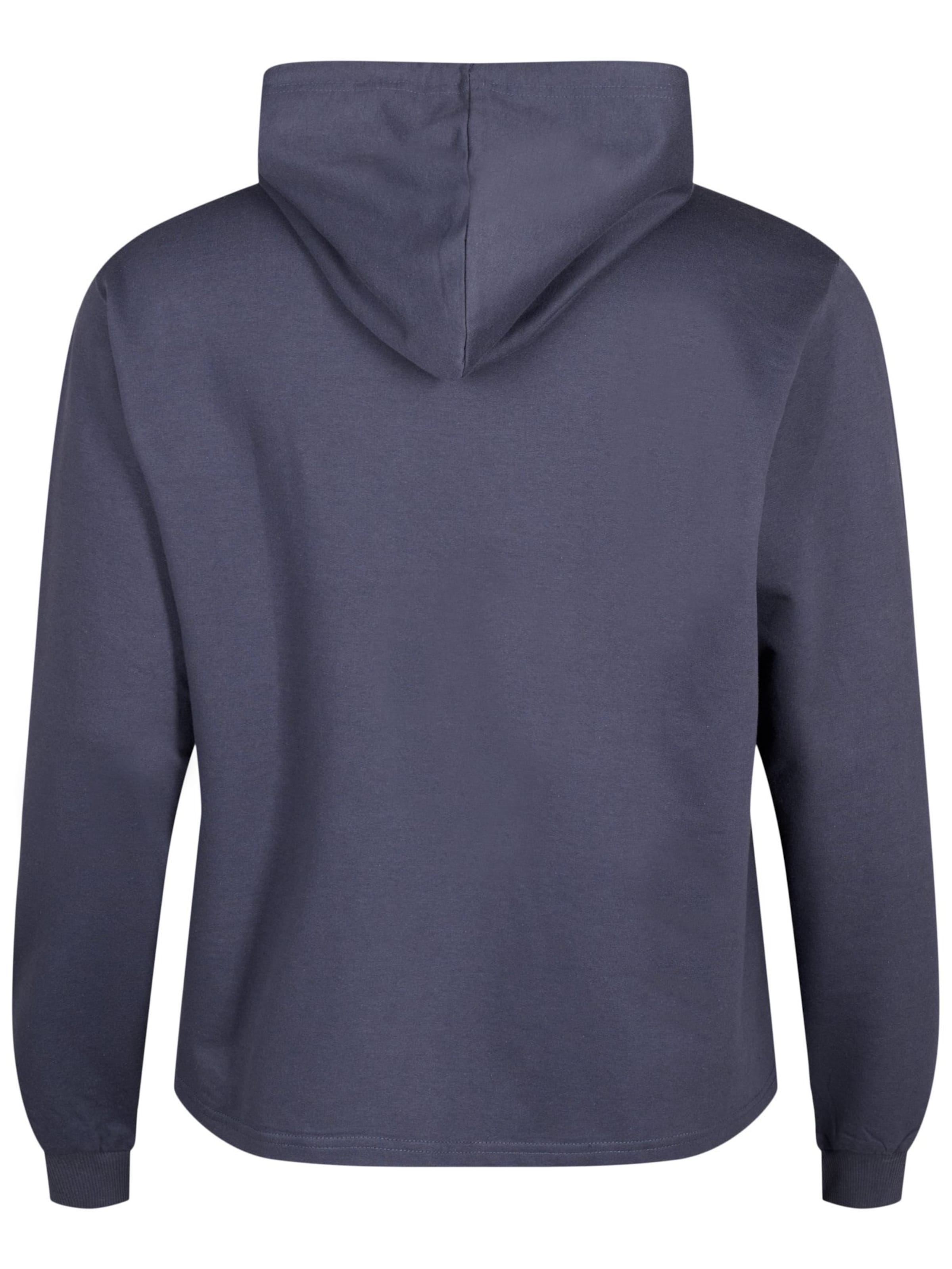 Active by Zizzi Sports sweatshirt 'ASILKE' in Grey
