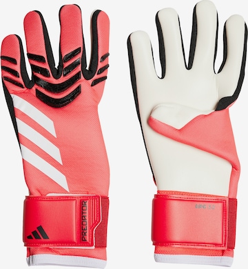ADIDAS PERFORMANCE Sporthandschuhe 'Predator League' in Rot: Vorderseite