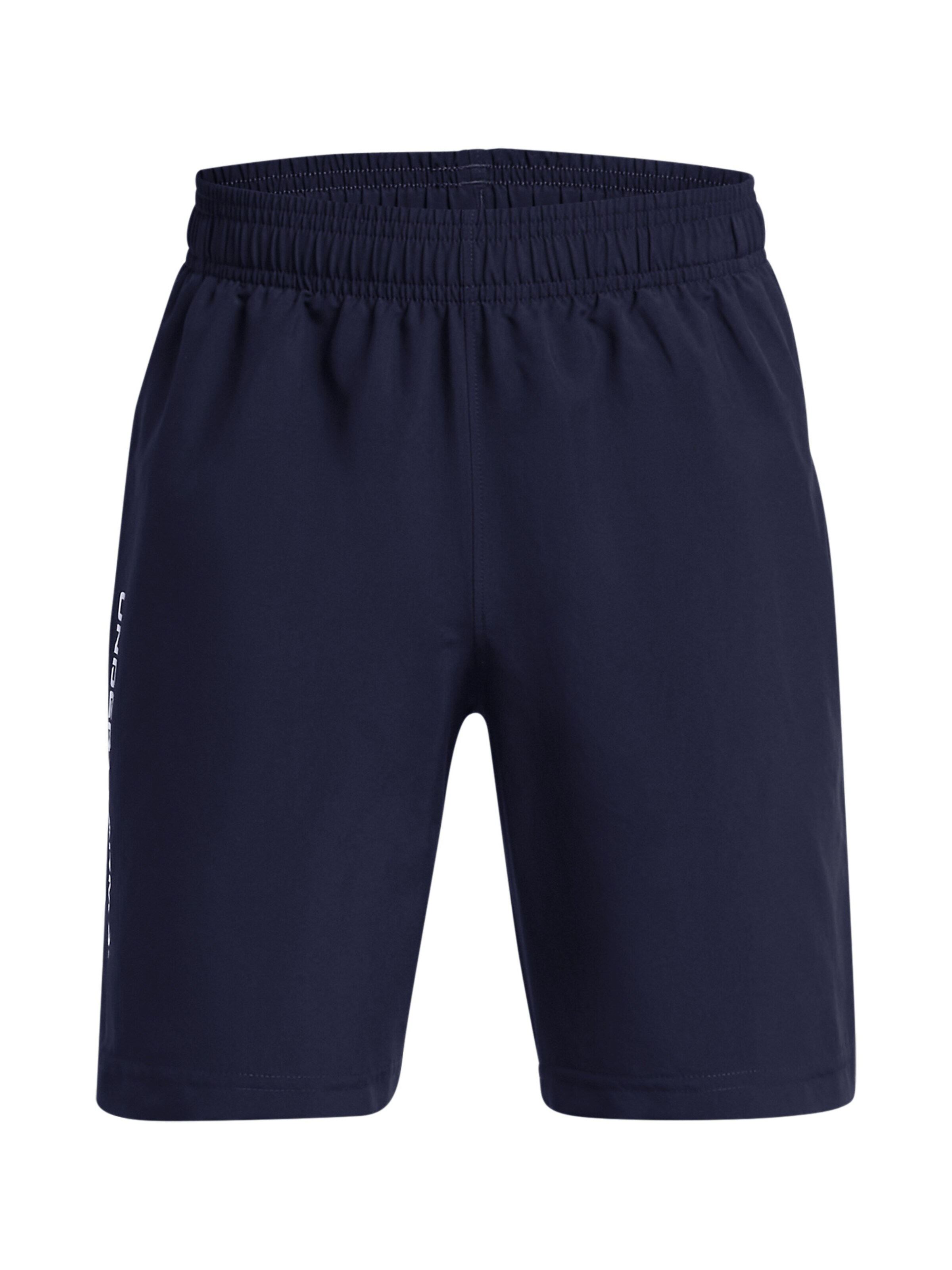 UNDER ARMOUR Regular Sports trousers in Blue: front