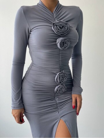 WOMAN VISION Kleid in Grau