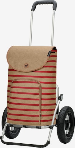 Andersen Shopper Trolley 'Eske' in Braun: Vorderseite