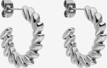Boucles d'oreilles 'Big Leaf' PURELEI en argent : devant