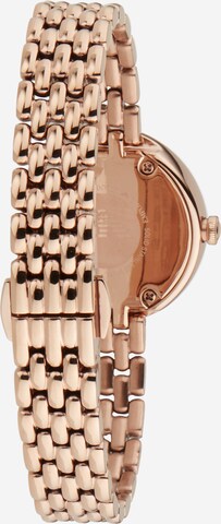 Emporio Armani Analog Watch in Gold