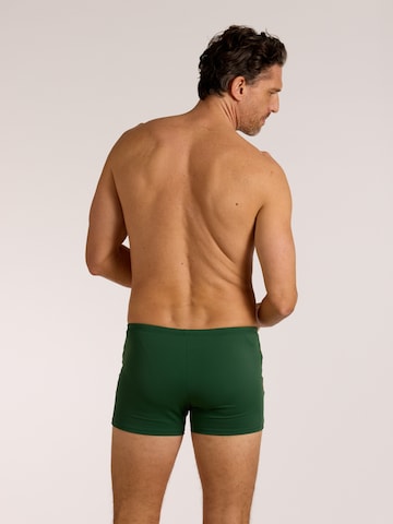 wavebreaker Swim Trunks in Green