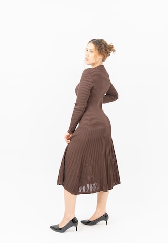 Elara Knit dress in Brown