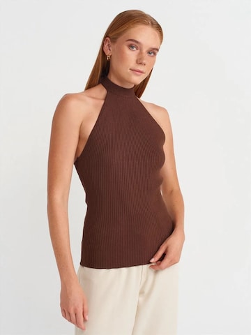 Dilvin Blouse 'Blusen' in Brown: front