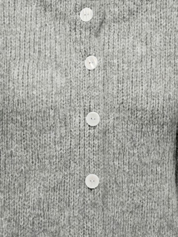 Giacchetta 'JDYDinea' di JDY in grigio