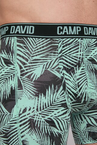 CAMP DAVID Pants in Mischfarben
