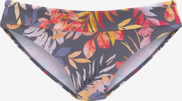 VIVANCE - Braga de bikini en gris: frente