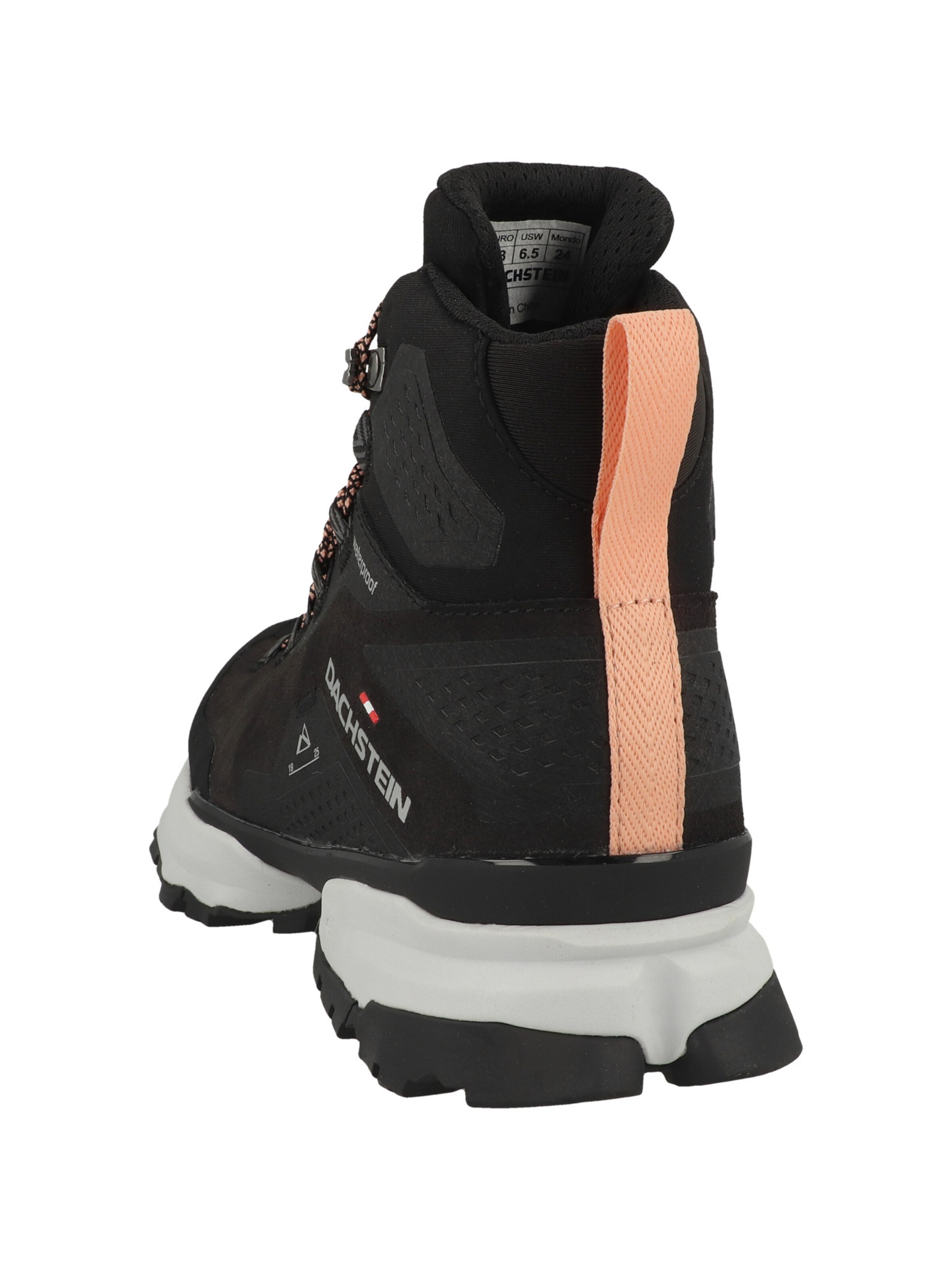 Sneaker alta di Dachstein in nero