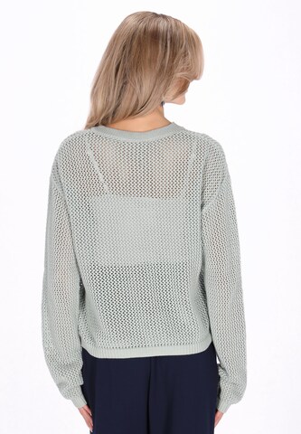Pull-over 'Casual' Usha en vert