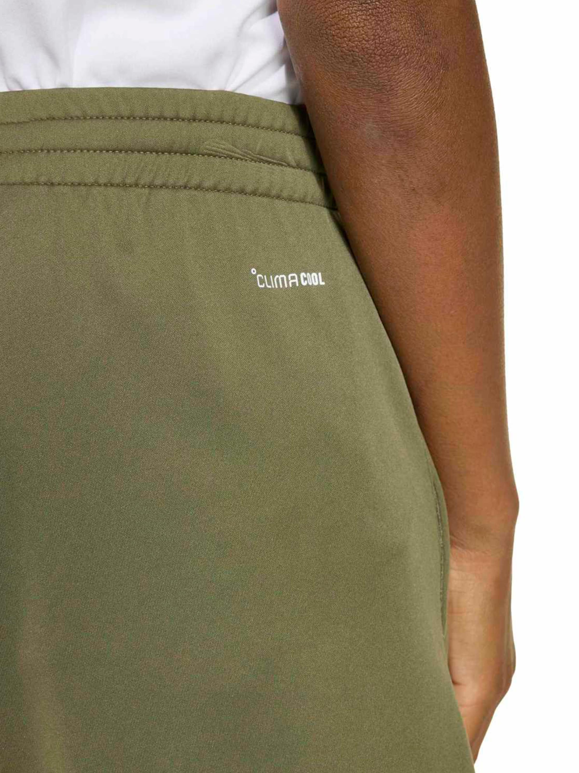 Regular Pantalon de sport 'TR-ES' ADIDAS SPORTSWEAR en vert