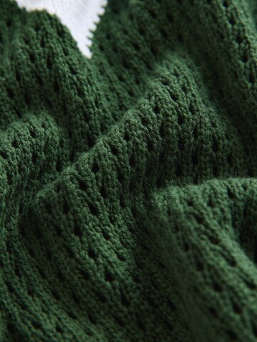 Next Trui in Groen