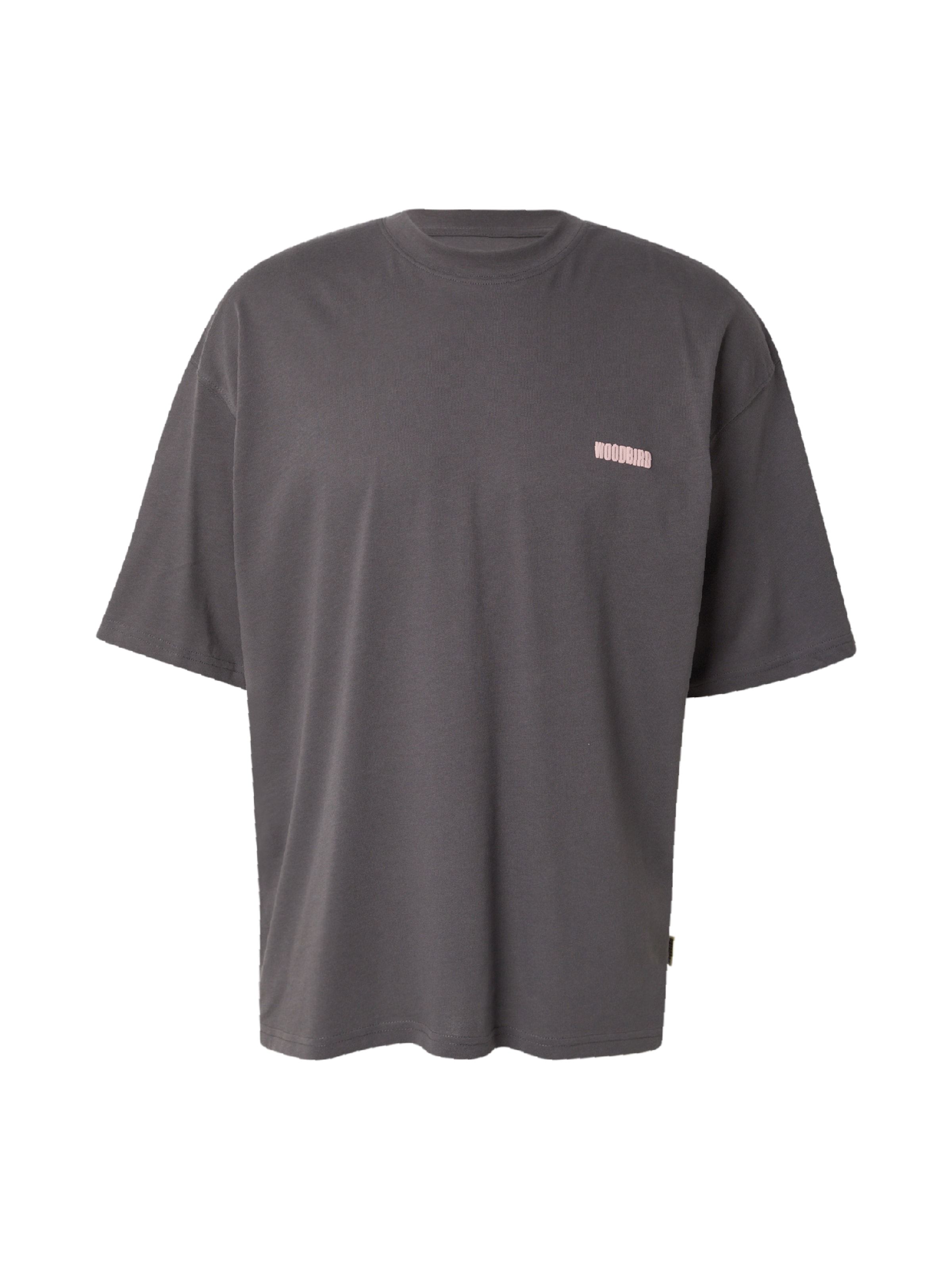 T-Shirt 'Beam Curbi' Woodbird en gris : devant