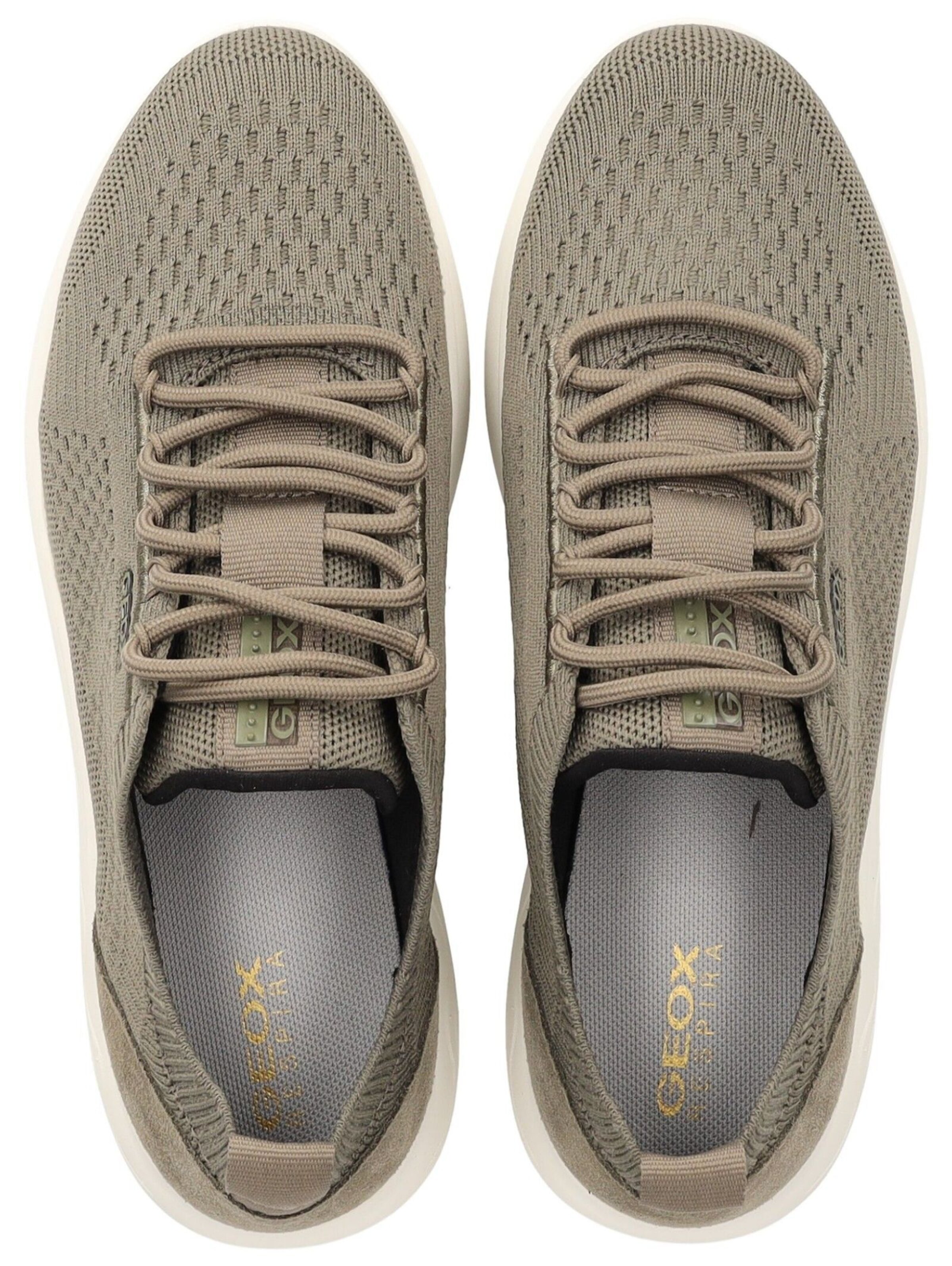 GEOX Platform trainers in Green