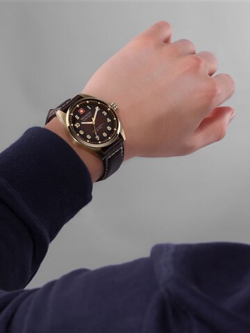 SWISS MILITARY HANOWA Uhr 'Greyhound' in Braun