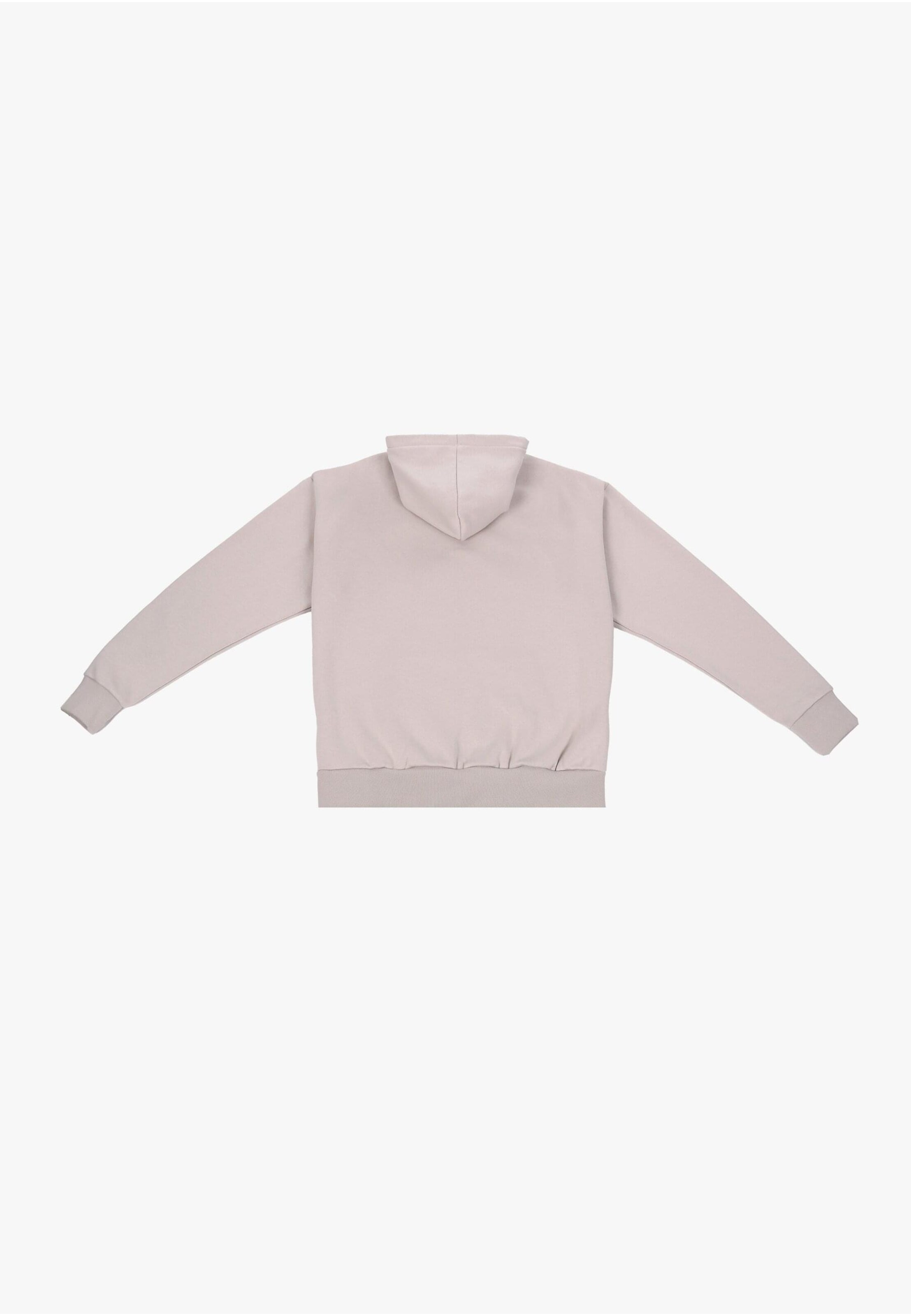 Dropsize Sweatshirt in Beige