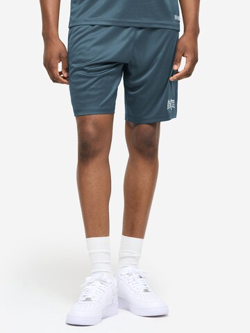 Benlee Normalny krój Spodnie sportowe 'Alexus' w kolorze niebieski: przód