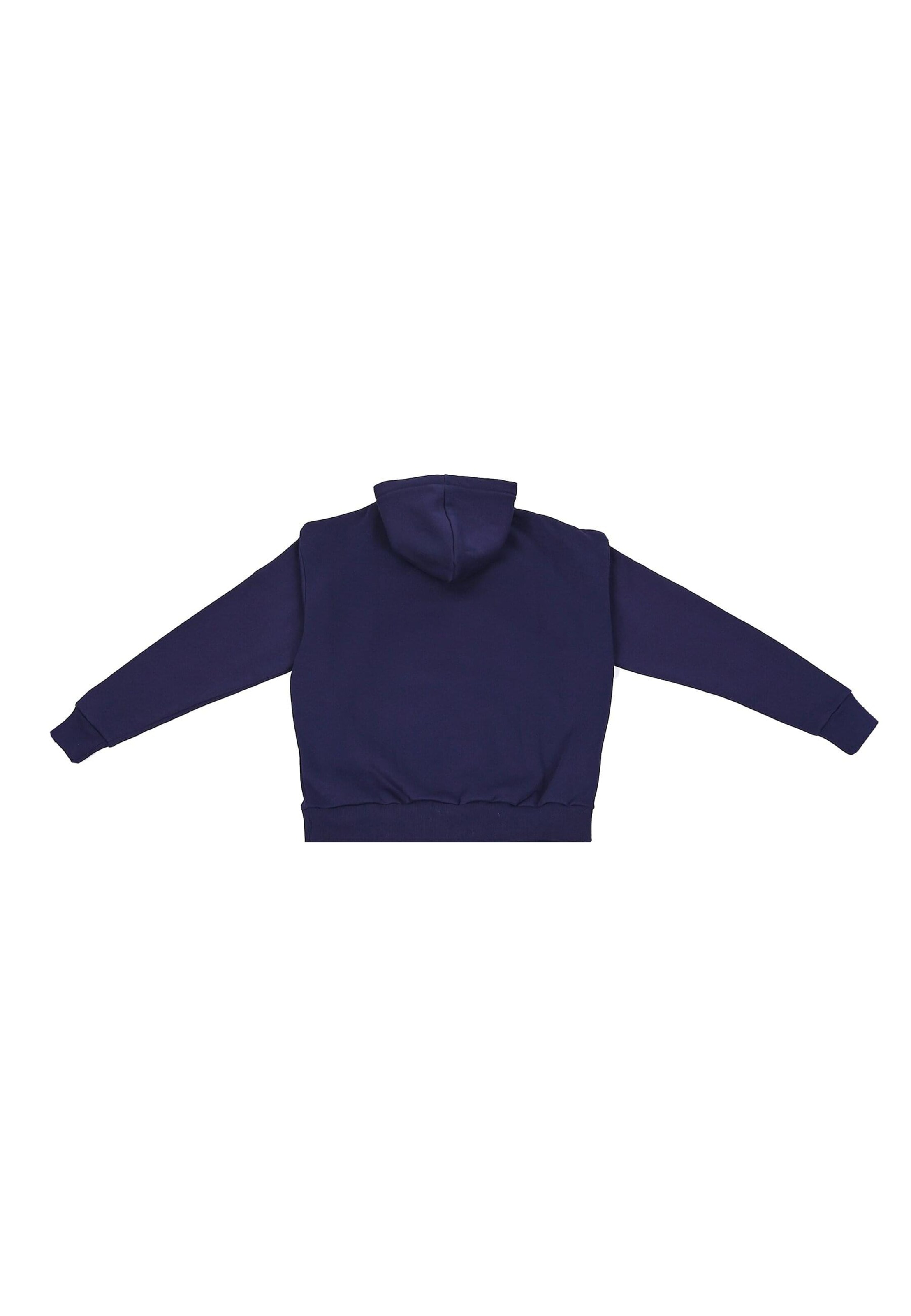 Dropsize Sweatshirt i blå