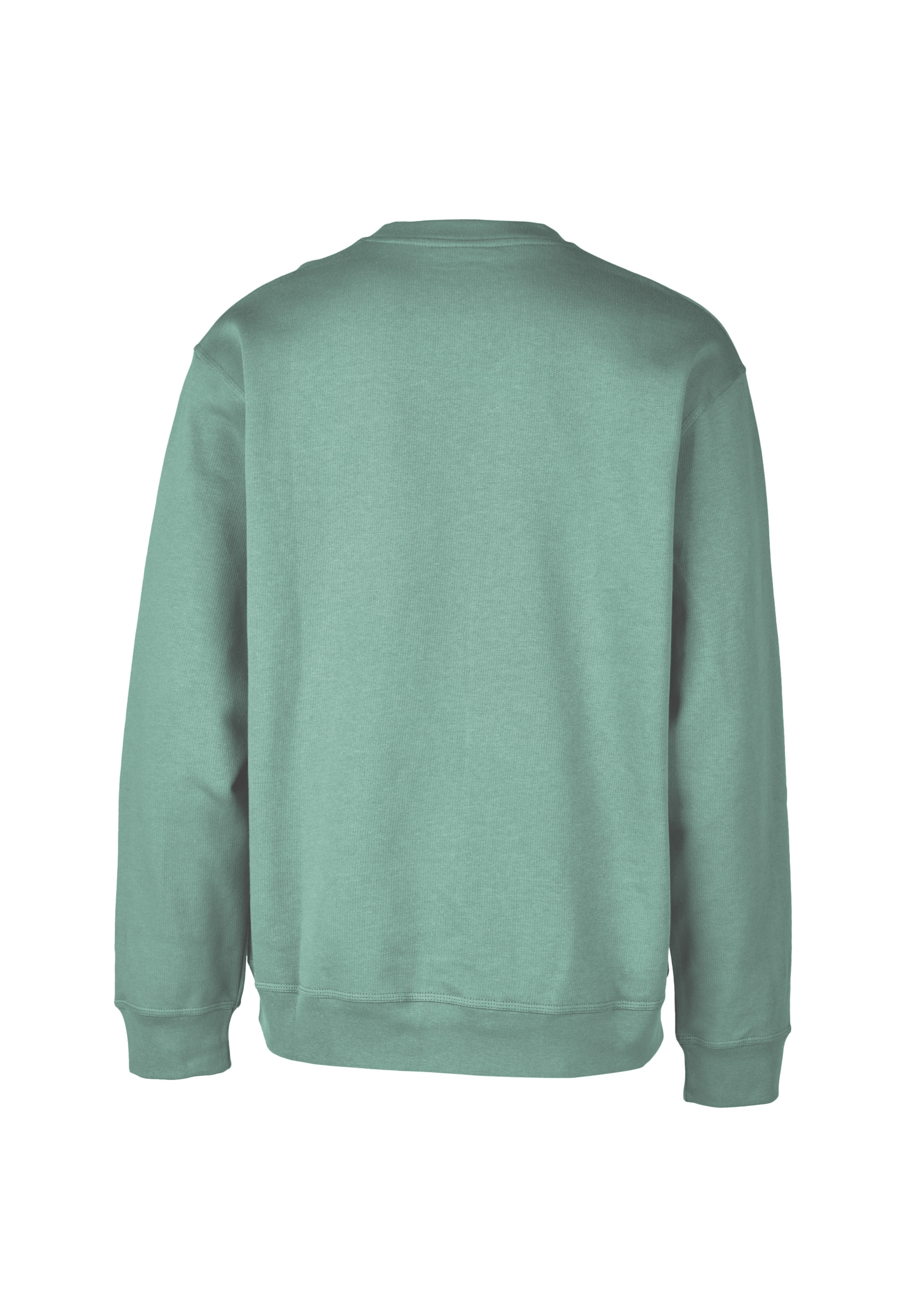 Cleptomanicx Sweatshirt 'Ligull Boxy' in Green