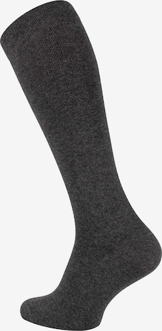 Cotton Prime Kniekousen in Grijs: voorkant