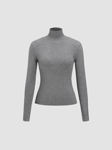 Hiccup Pullover in Grau
