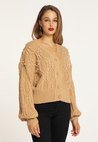 faina Knit Cardigan in Brown: front