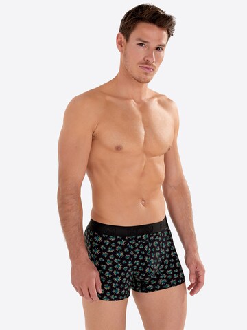 HOM Boxershorts 'Dizzy HO1' in Grün: Vorderseite